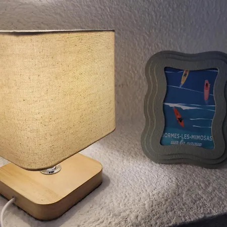 T1 Climatise Avec Terrasse & Acces Piscine