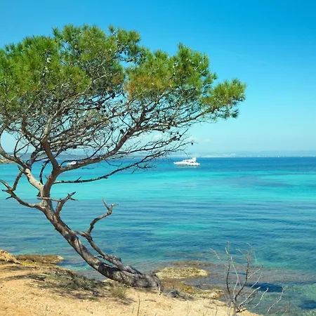 Lejlighed T1 Climatise Avec Terrasse & Acces Piscine