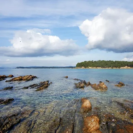 T1 Climatise Avec Terrasse & Acces Piscine *