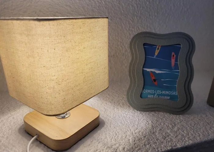 T1 Climatise Avec Terrasse & Acces Piscine