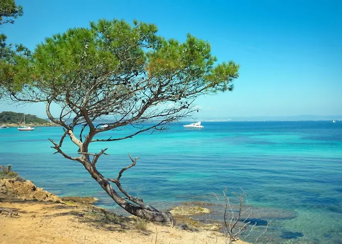 Апартаменти T1 Climatise Avec Terrasse & Acces Piscine