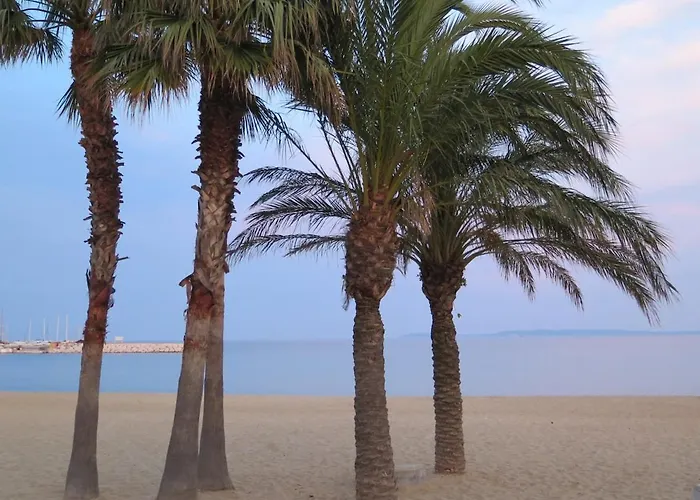 T1 Climatise Avec Terrasse & Acces Piscine Апартаменти *