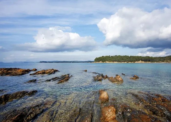 T1 Climatise Avec Terrasse & Acces Piscine *